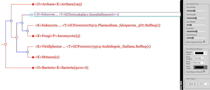 The Output Preview Page of WebCVTree4